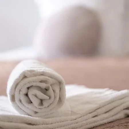 Nouveau - L'indiana - Jardin Partage, Barbecue * Diemeringen